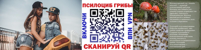 Галлюциногенные грибы прущие грибы  что такое   Певек 